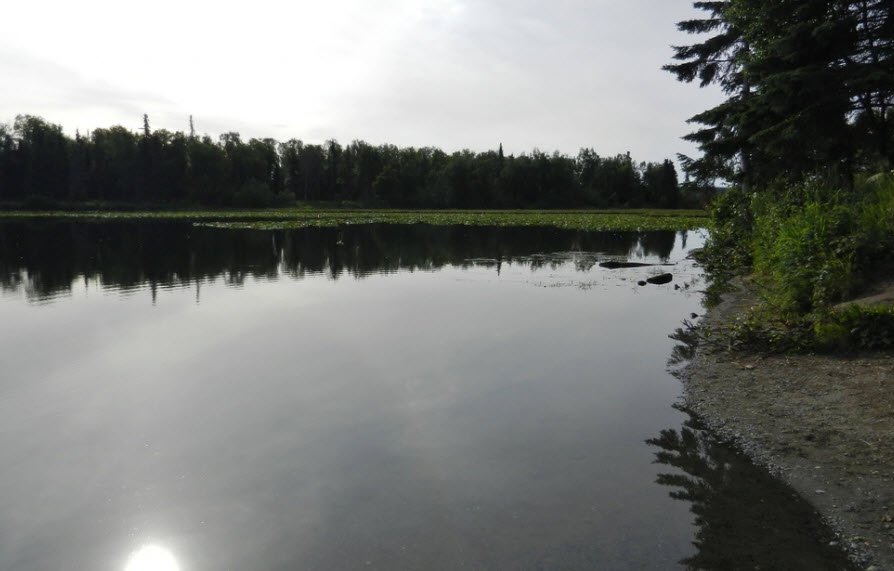Johnson Lake State Rec Area, Alaska, USA